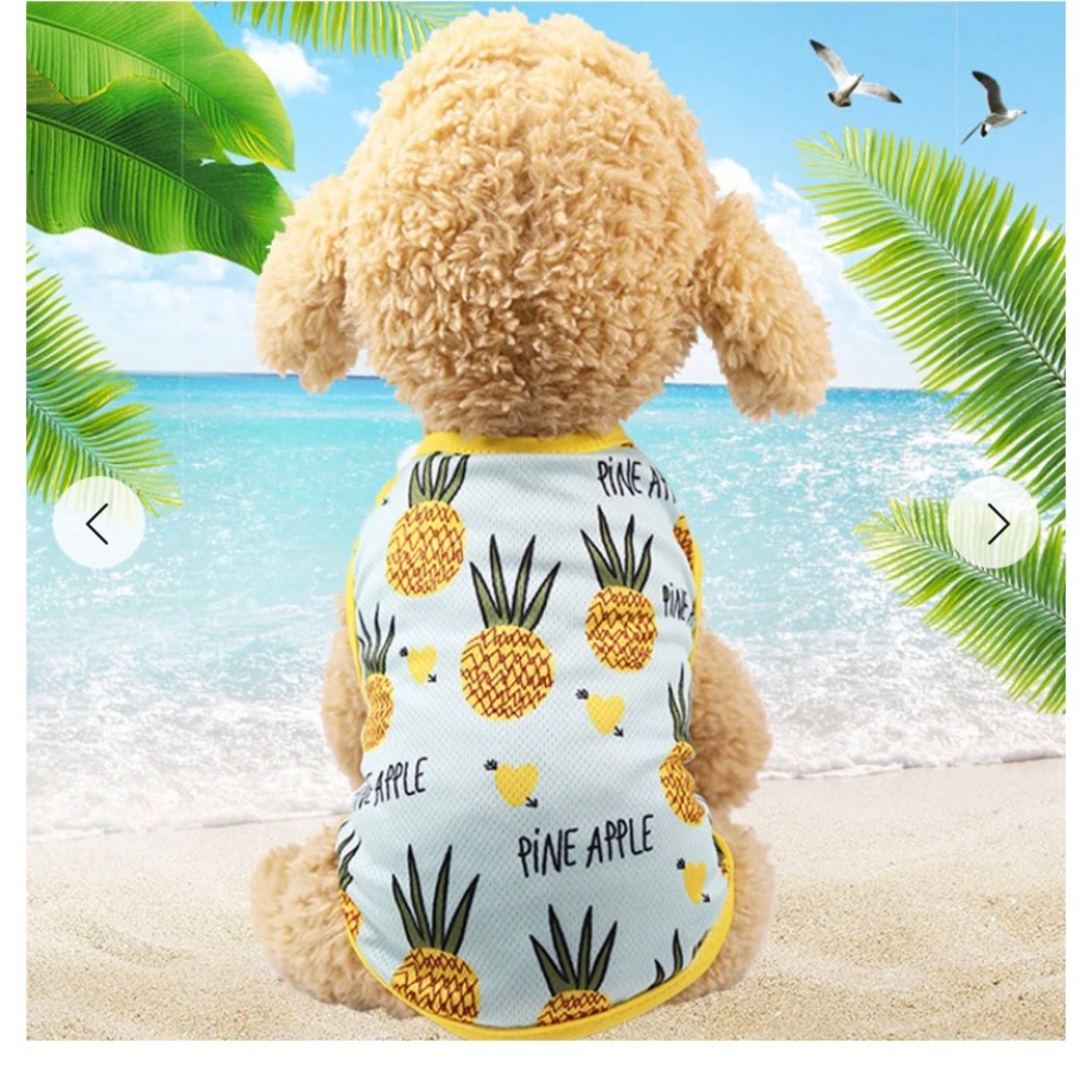 💗HOST PICK 💗NWT Adorable Pineapple Doggie Or Cat T-shirt - Picture 1 of 2